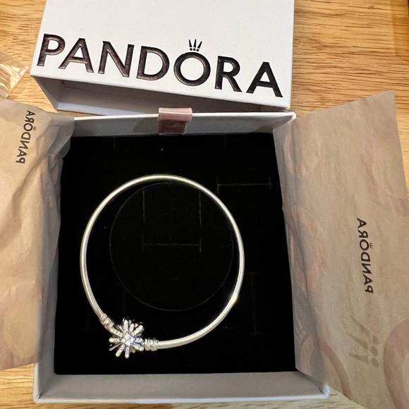 Pandora Limited Edition Fireworks Bangle - Picture 4 of 8